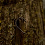 short shank 2/0 namazu hook