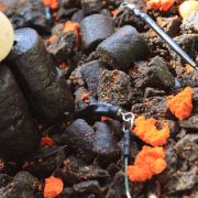 Hdyra ready rig cat-tex fishing with uk catfish bait